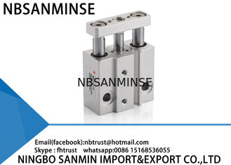 La double miniature temporaire a guidé le cylindre pneumatique vitesse de piston de 50 - 500 millimètres/s