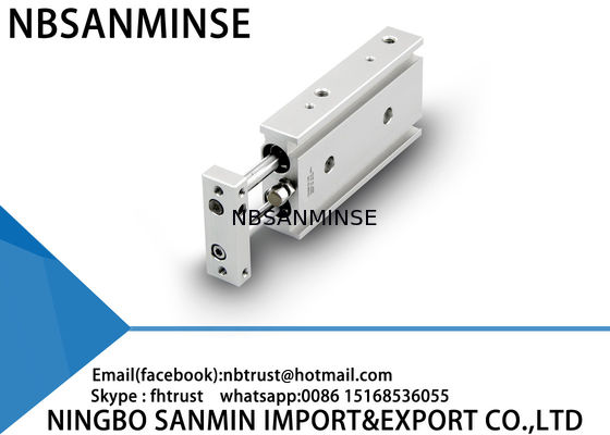 Type de base taille de double de Rod cylindre pneumatique fait sur commande d'air de trou de 6mm 10mm 15mm