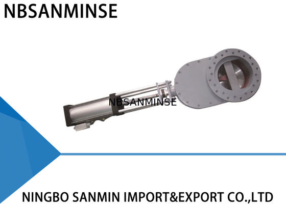 Double soupape à disque à l'épreuve des usages pneumatique pour le charbon de caillou