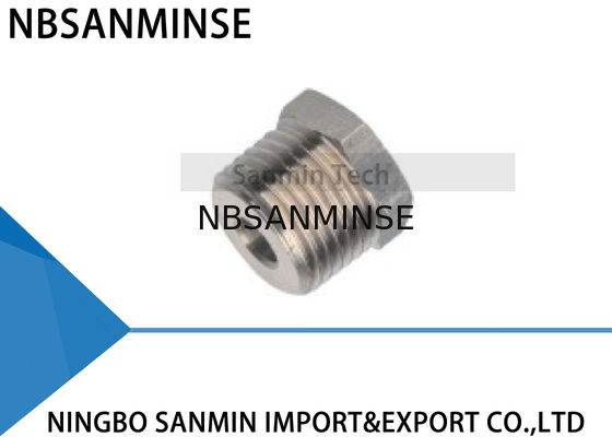 Garnitures pneumatiques BSPP (G), fil d'air de transition du BD de défaut de BSPT (r)